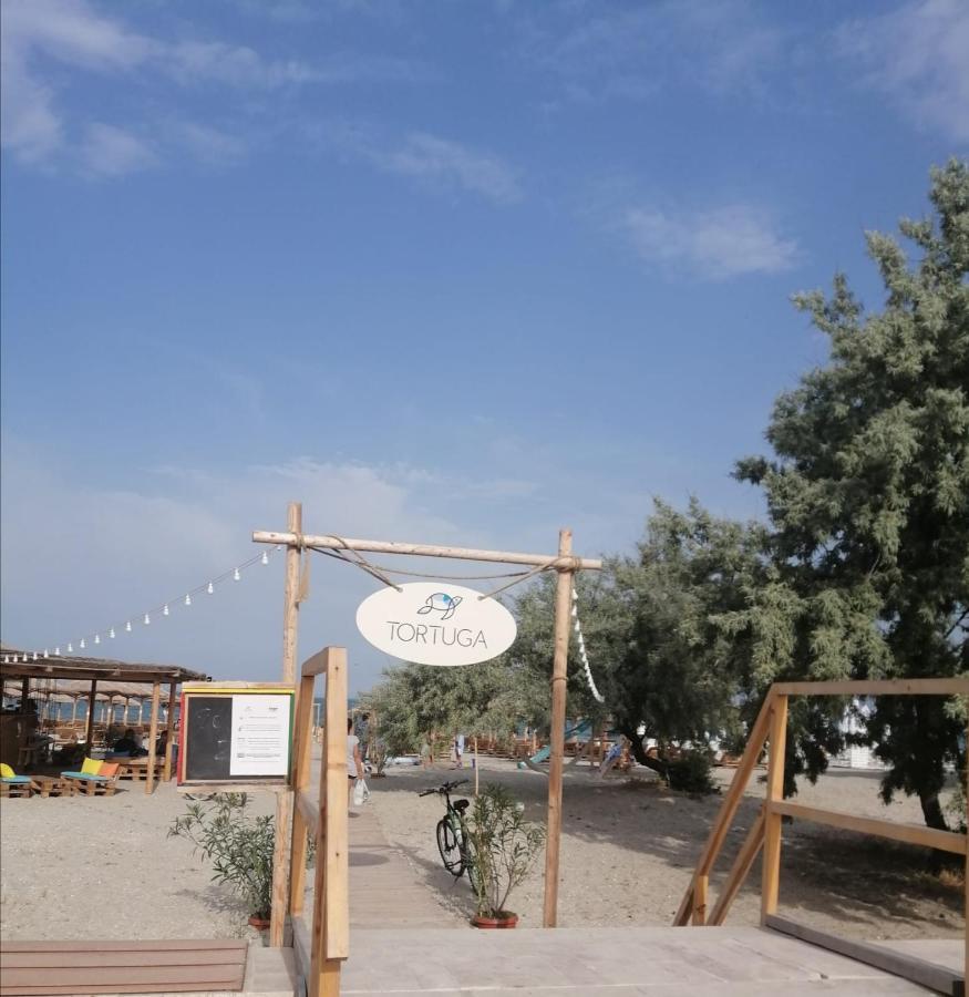 Nemo Apartment Năvodari المظهر الخارجي الصورة